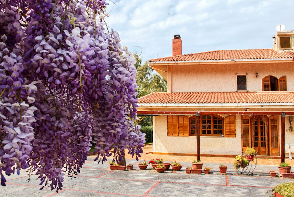Front of house