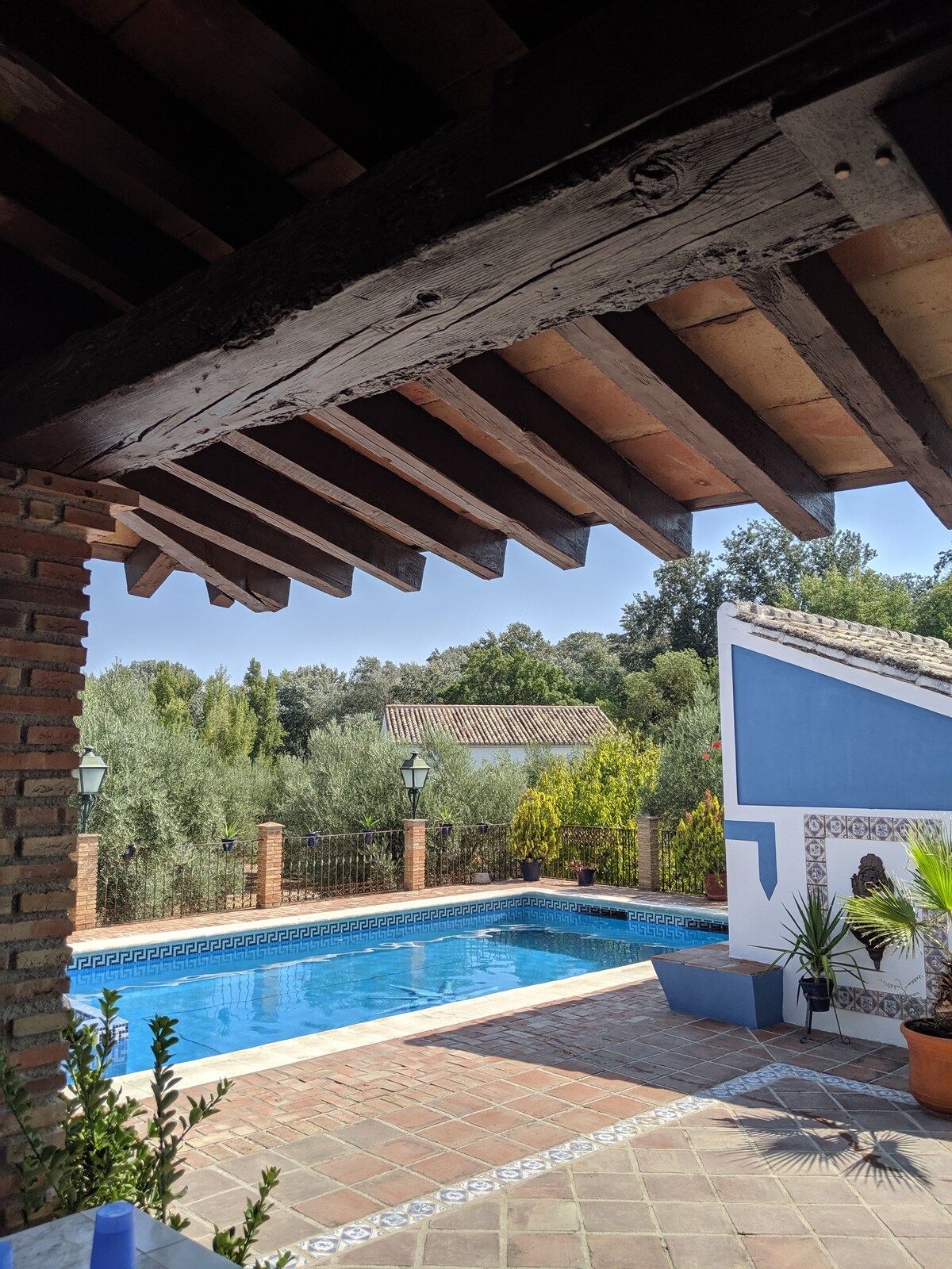 A clear view of a private swimming pool is framed by traditional brick columns and wooden beams. Lush greenery surrounds the pool area, while soft light highlights the vibrant blue tiles along the water's edge, creating a serene outdoor environment.
