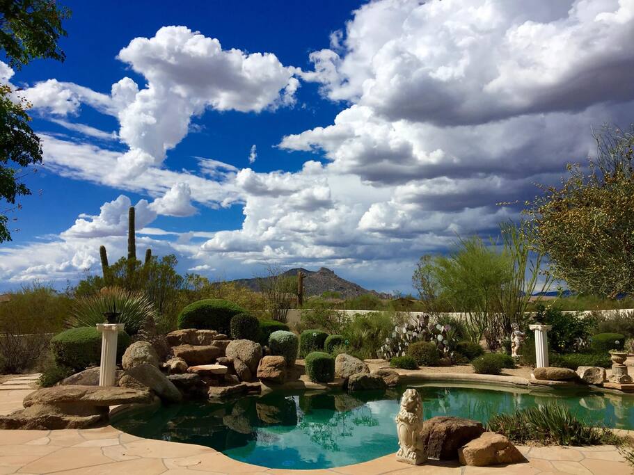Private Casita on 5 acres with beautiful outdoor space, saguaro cacti and views