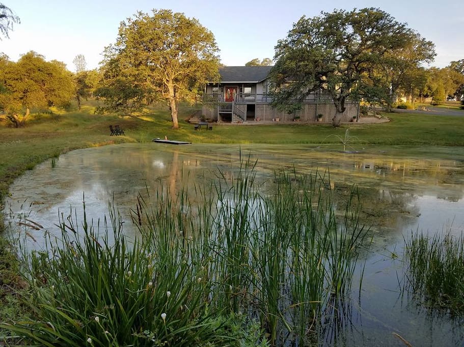 Pond and home.