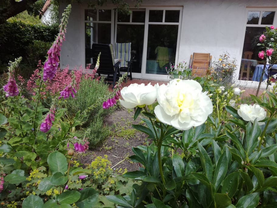 Blick auf die Terrasse