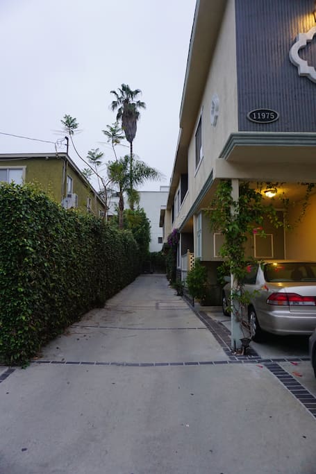 Driveway