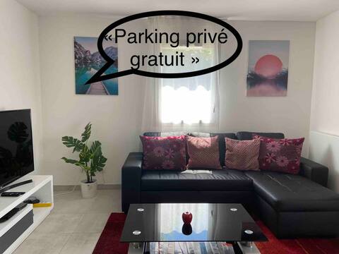Stunning near GVA/Palexpo/CERN/UN/WHO airport.