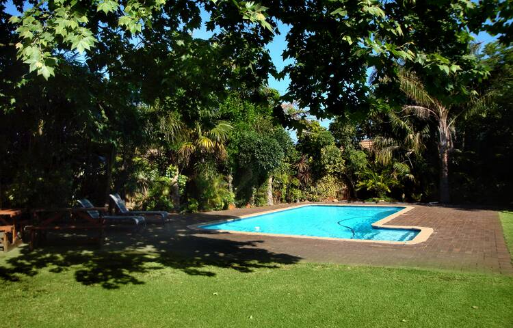 Tall Tree Family Home with Large Pool gallery image 5