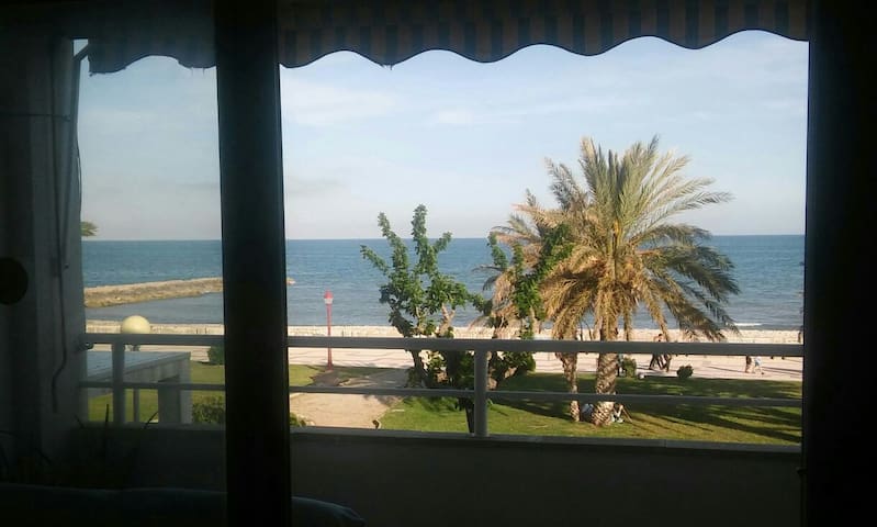 Get Decoracions de el partit sota el mar For iPhone Decoracions De El Partit Sota El Mar