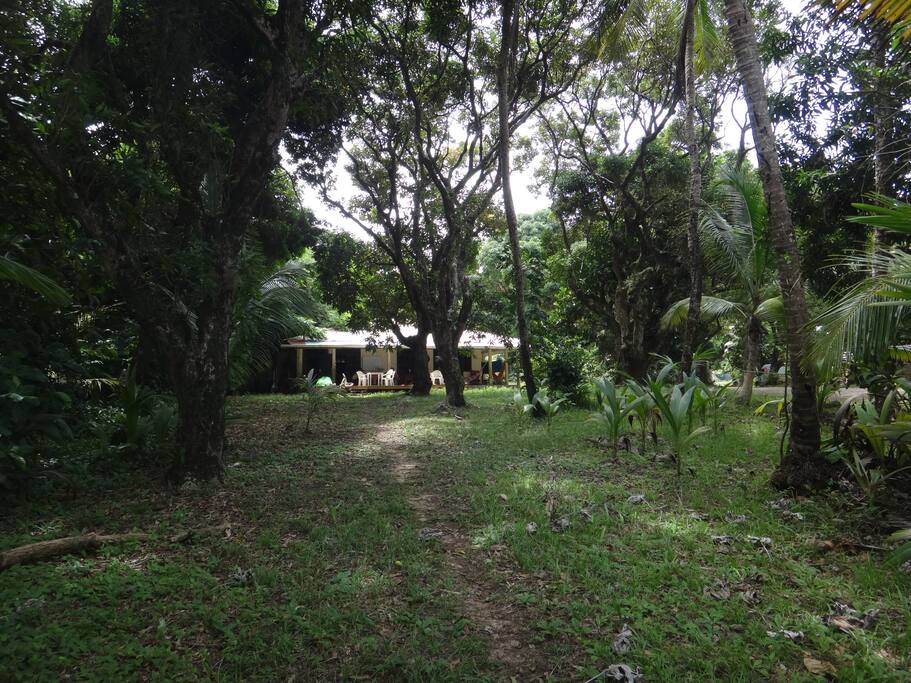 Depuis la plage