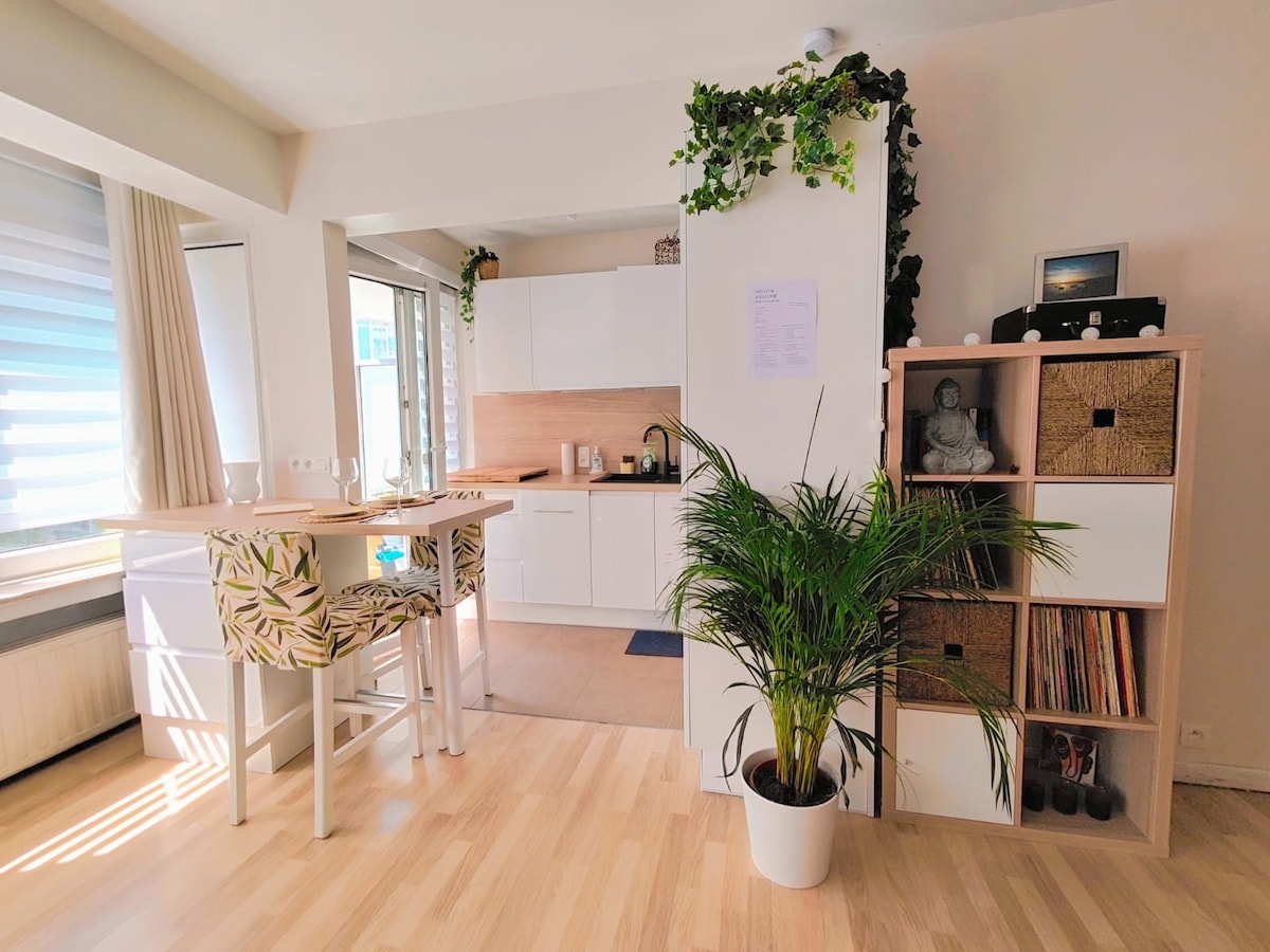 The studio's kitchen area showcases a bright and functional space with white cabinetry and warm wood accents. A small dining table with two tall chairs is positioned next to the window, allowing natural light to illuminate the room. Greenery is present, adding a refreshing touch.