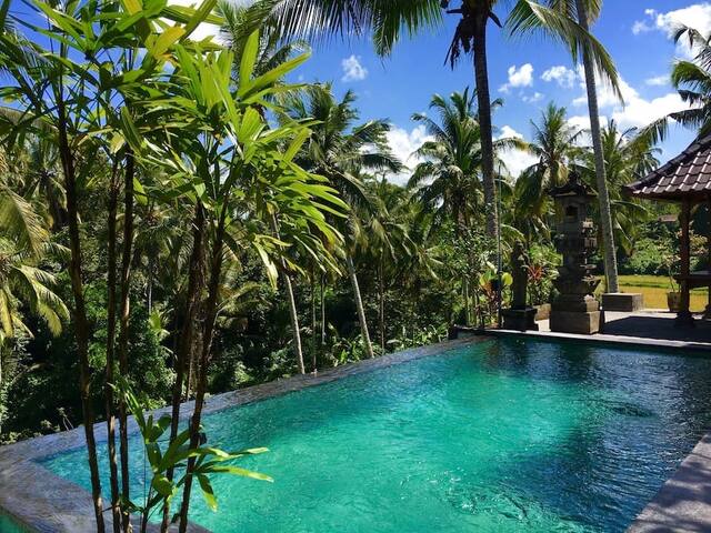 AMAZING! 1bedroom,view,rice terass,pool,breakfastB