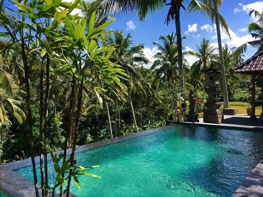 Offer 1bedroom, view,breakfast,pool