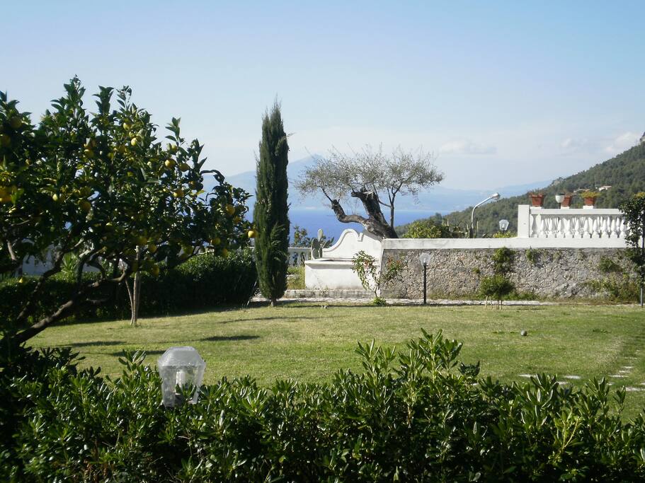 giardino