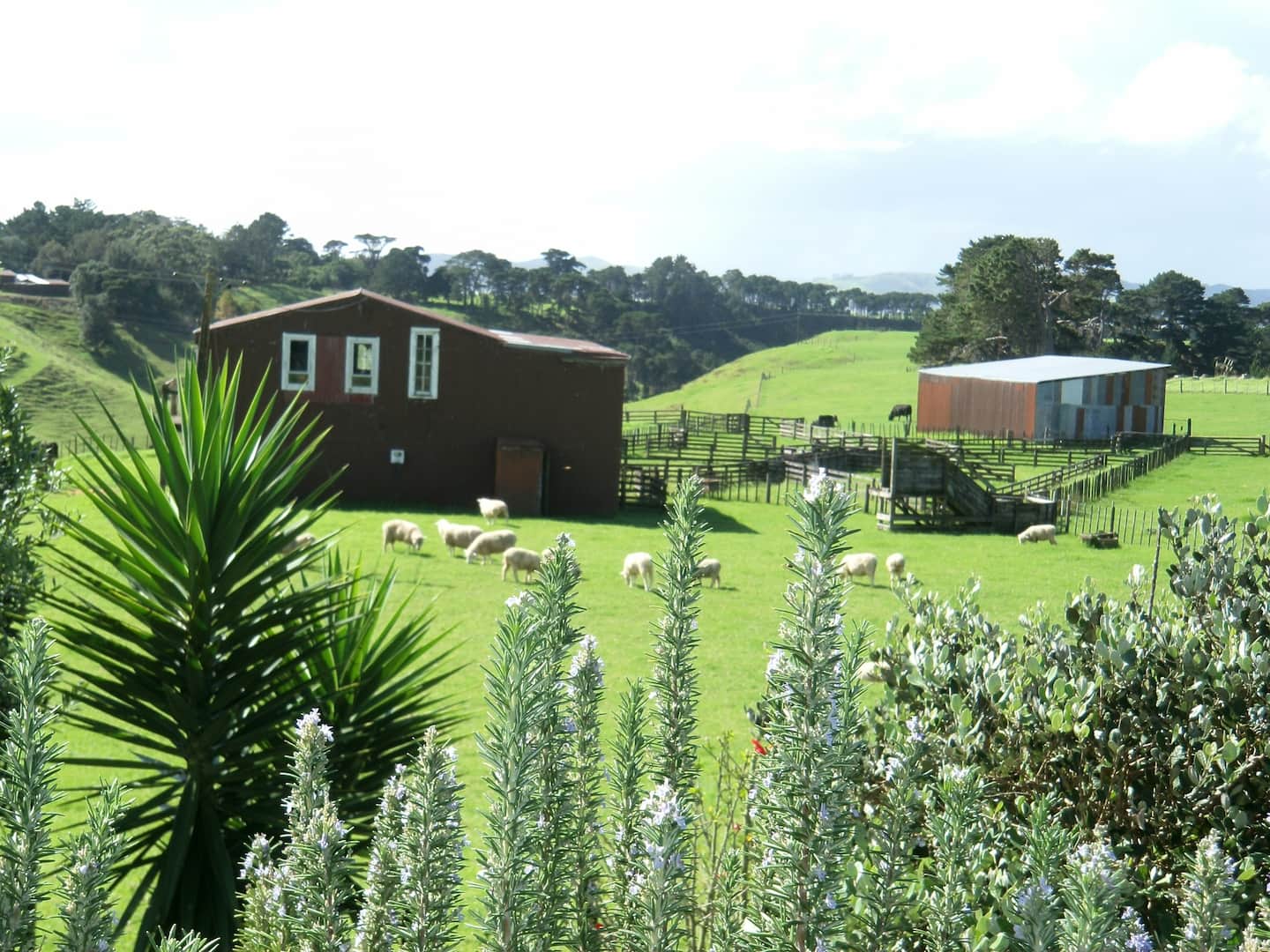 Farm Cottage 2