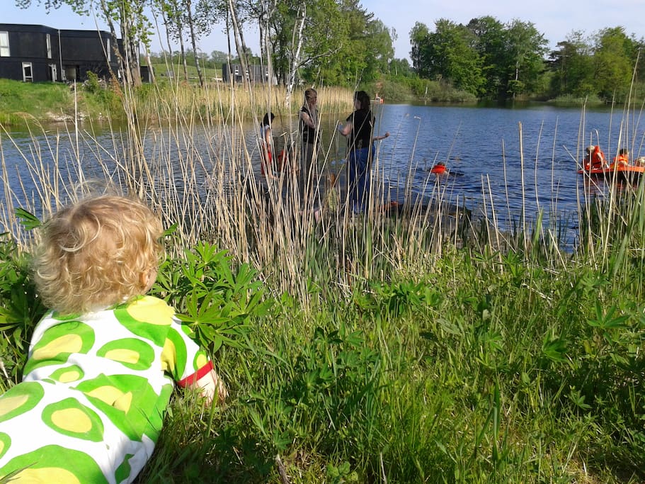 Our lake