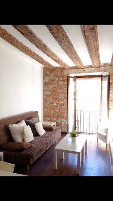 Comfortable living room with a sofa bed (140X200cm)