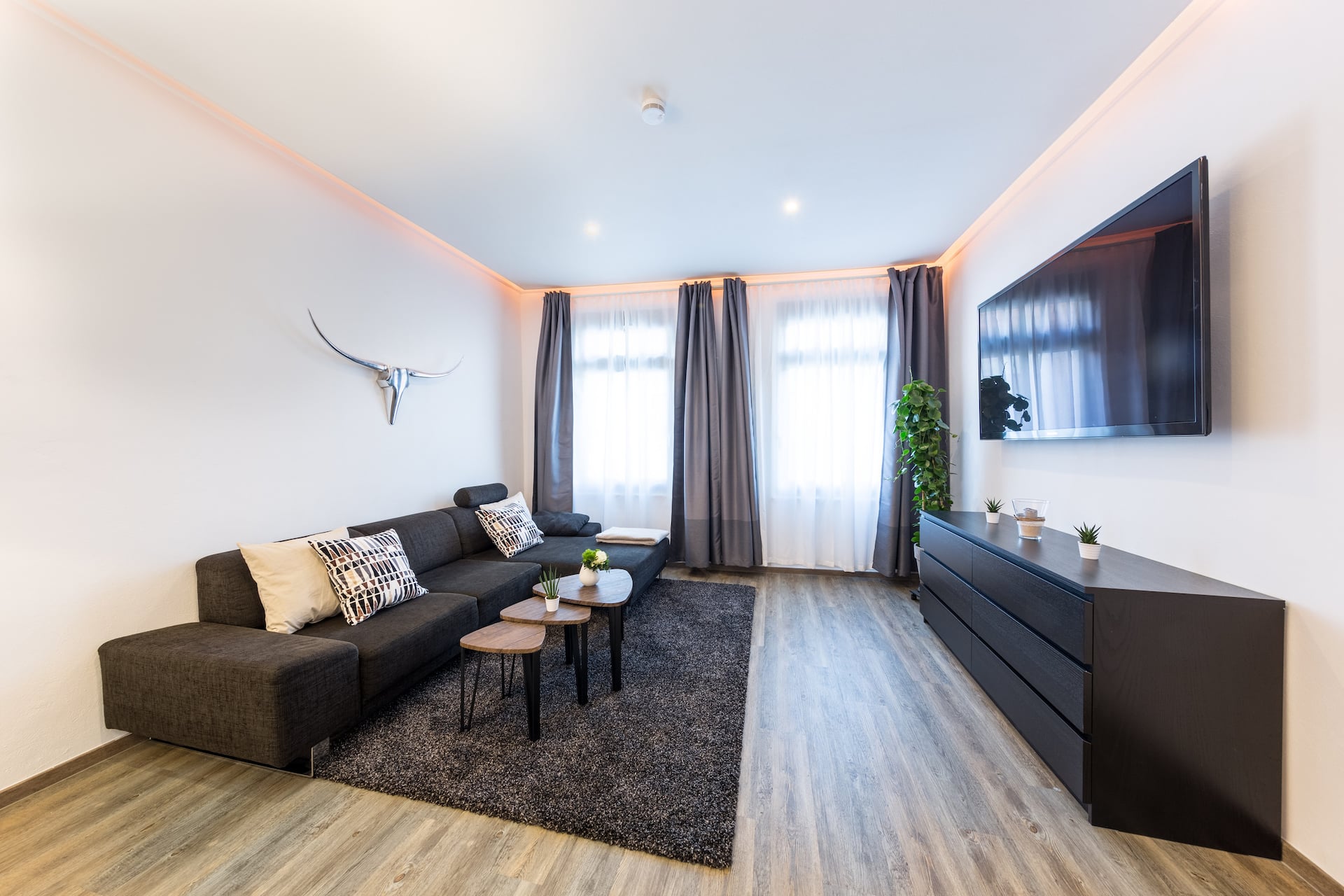 Altstadt Apartments — photo 2