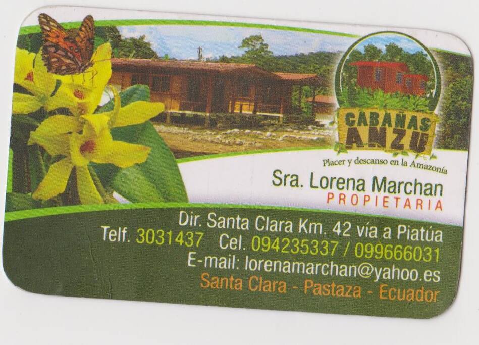 Contact Information