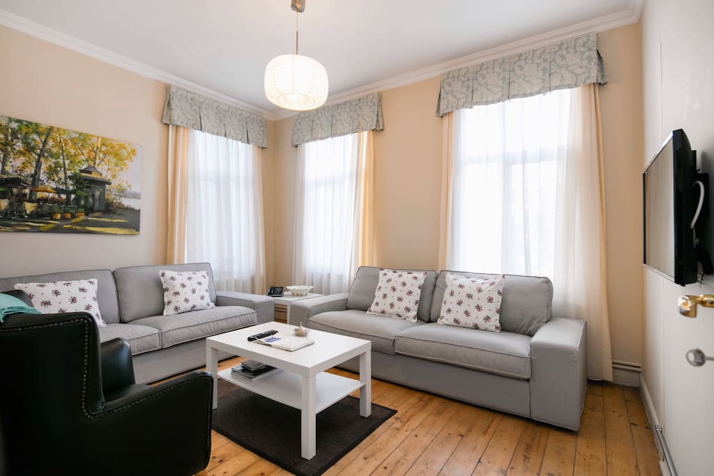 Living Room with a lot of day light