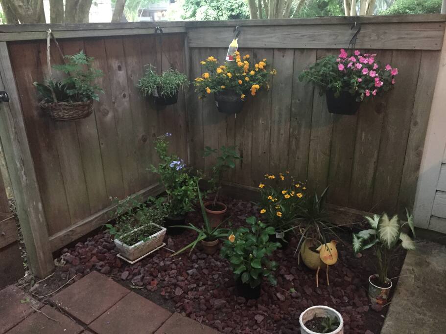 Back patio