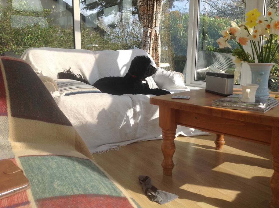 Dog taking liberties!