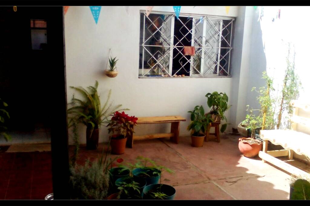 Mi hermoso patio!