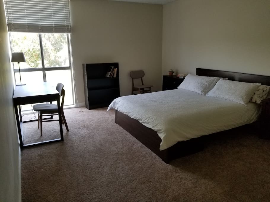 Quiet room, treetop views
