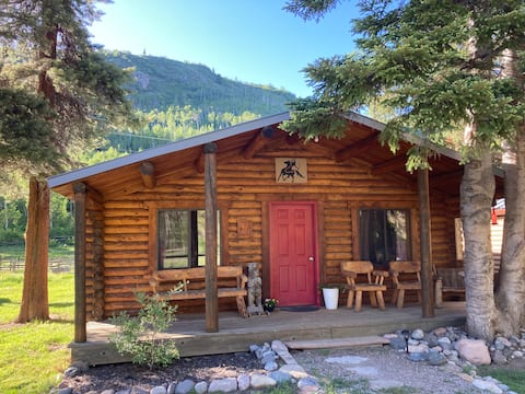 Evergreen Cabin-2 BD, Log Cabin Retreat-Clark, CO