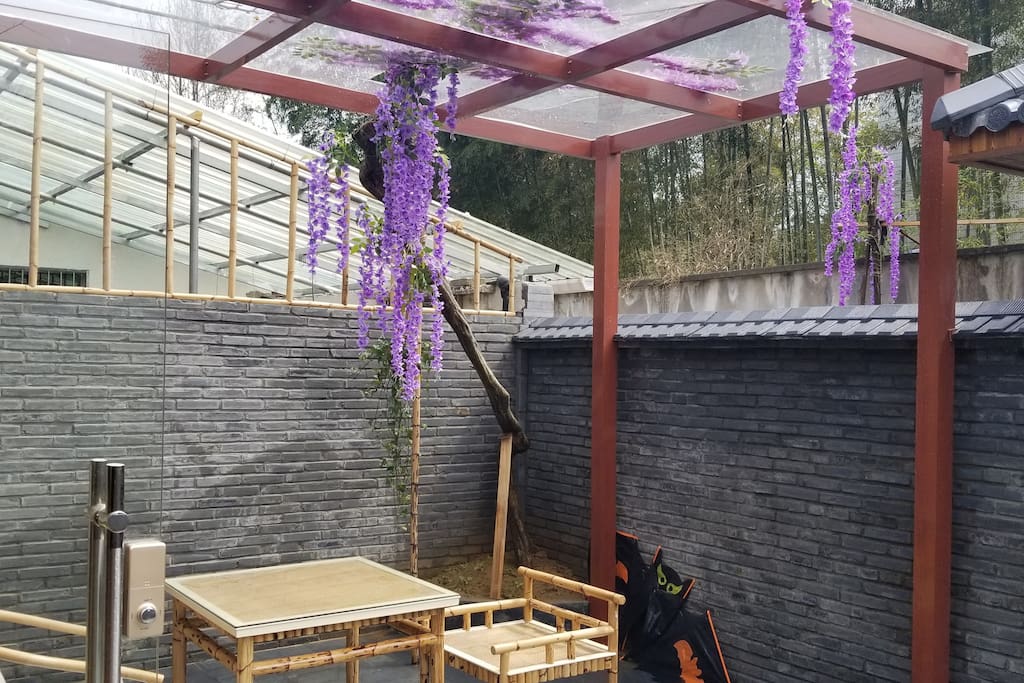 紫藤树下的桌椅,现在紫藤已长了很多叶子。