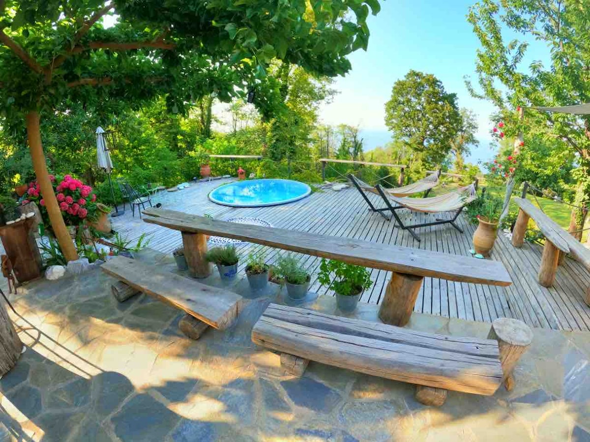 A sunlit wooden deck features a circular pool surrounded by lush greenery. Two hammocks are positioned for relaxation, while a rustic wooden table and benches offer seating. Potted plants and blooming flowers enhance the natural charm of the outdoor space.