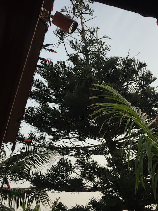 CCTV cameras around the house