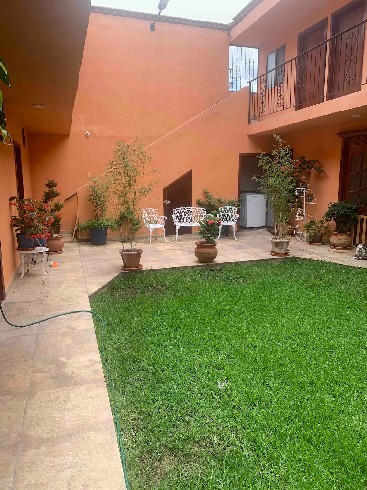 A vibrant courtyard features a patch of green grass bordered by potted plants and a tiled pathway. Two white metal chairs sit invitingly under the warmth of the orange walls, with a staircase leading to the upper floor visible in the background.