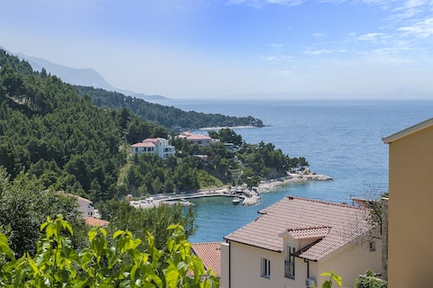 Top performing Airbnb: Tina Apartment in Općina Brela