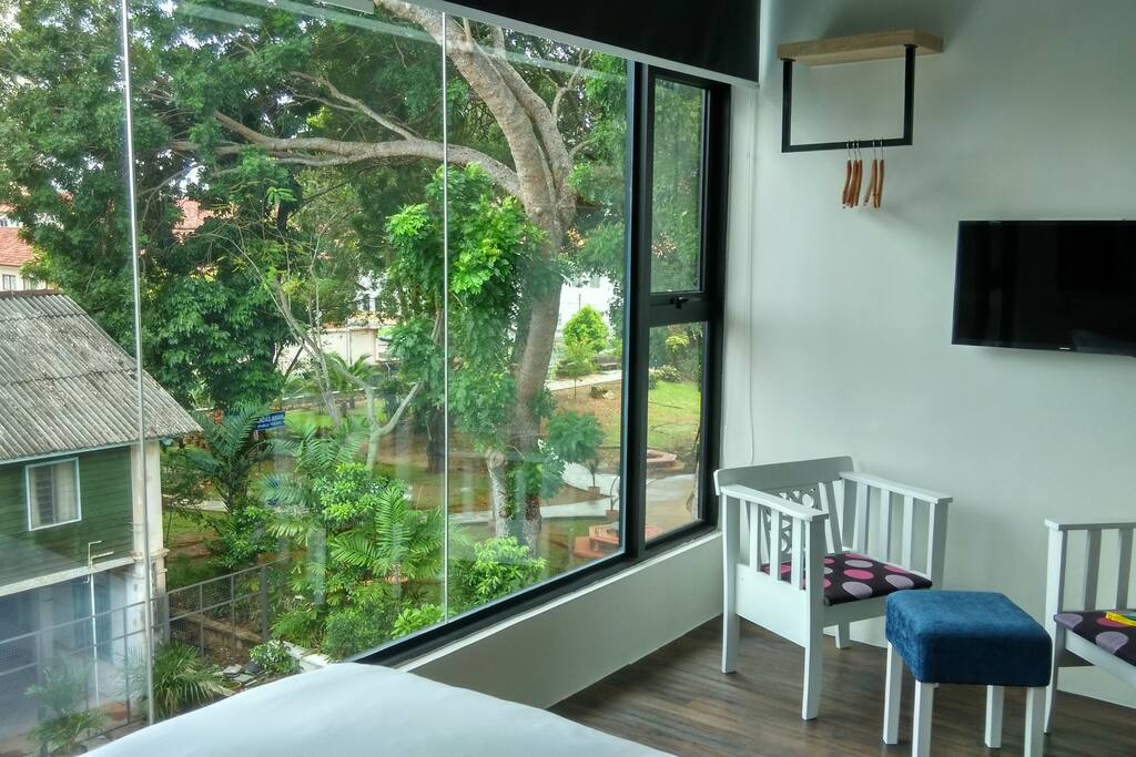 garden and pool view