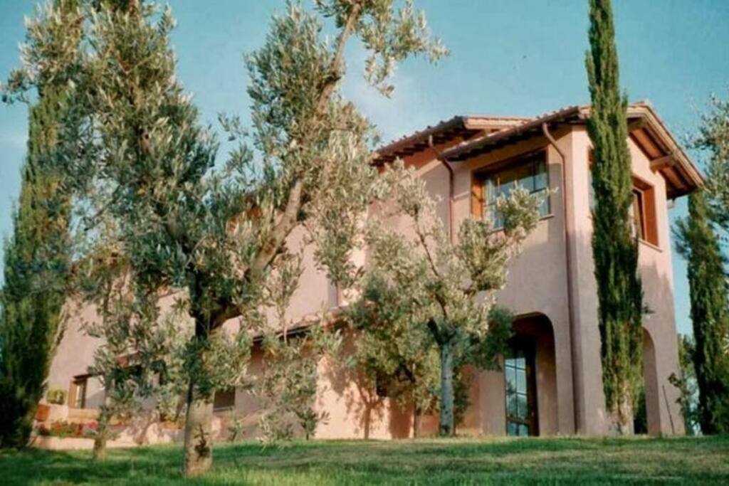 Outside View