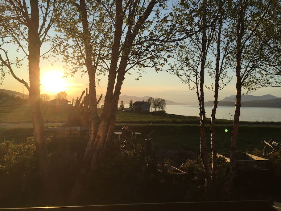 View from the kitchen window. Midnightsun