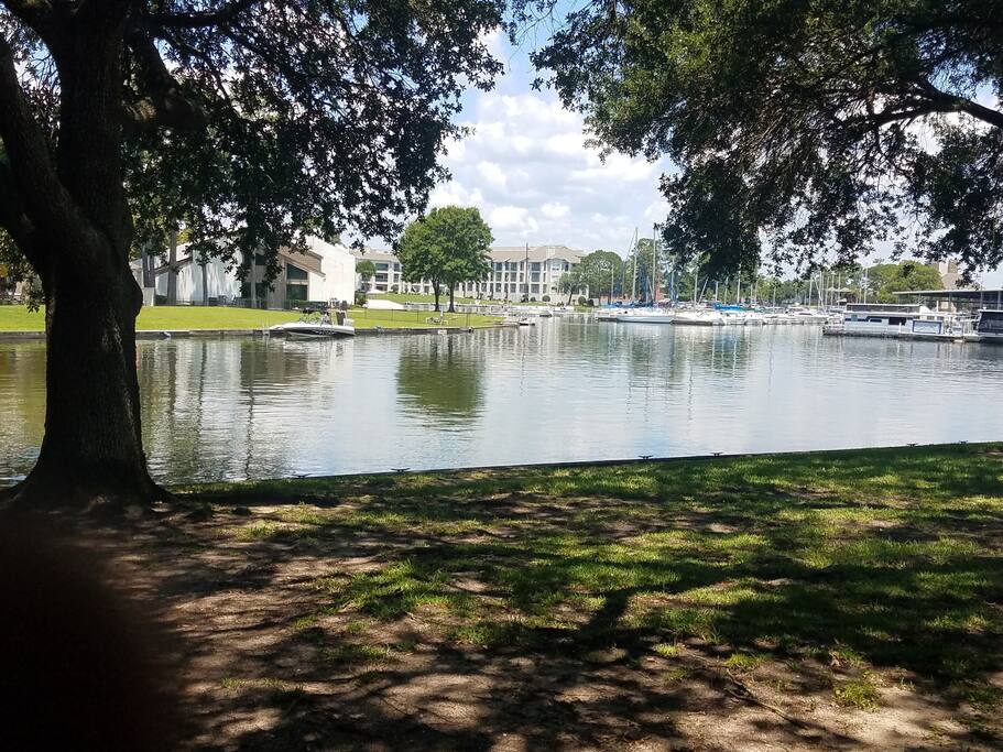 View from patio