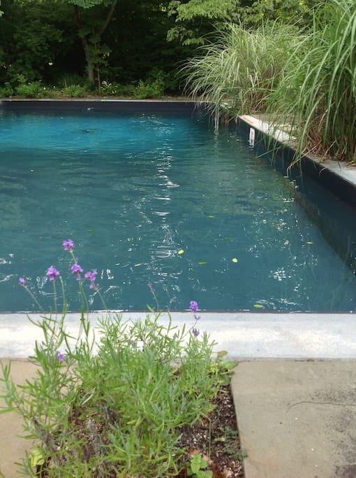 Lounge by the pool and take a dip!