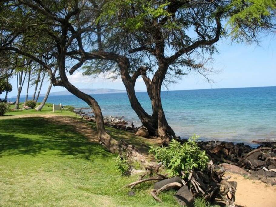 Kamaole Beach Park 1 - Across the street there is a grassy, shady area with trees overlooking the ocean. To the right is the mile long beach