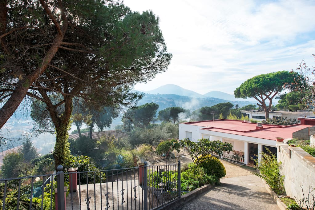 Vistas de la casa