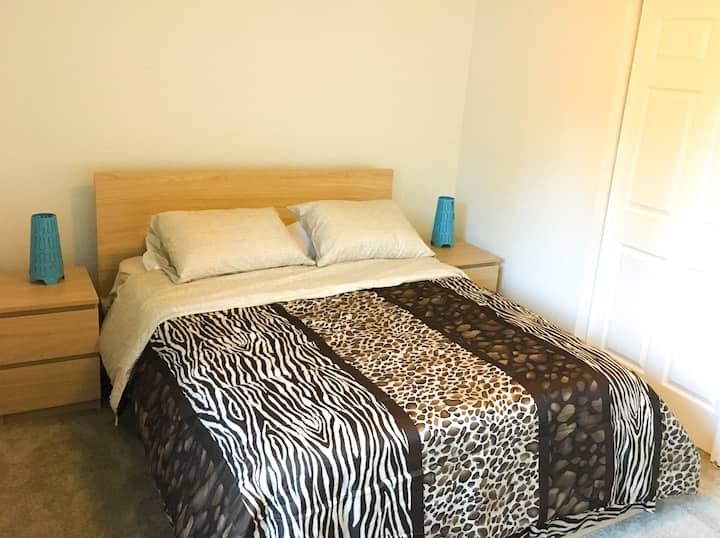 Bright room near Microsoft (Long/Short Term) Houses for Rent in