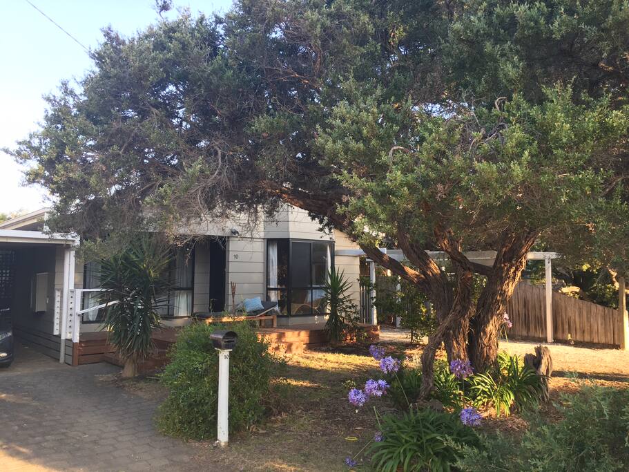 In old Pt Lonsdale amongst the tea trees