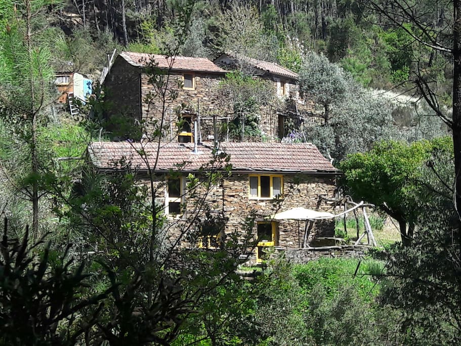 Our organic, off- grid quinta nestled in a pine forest.