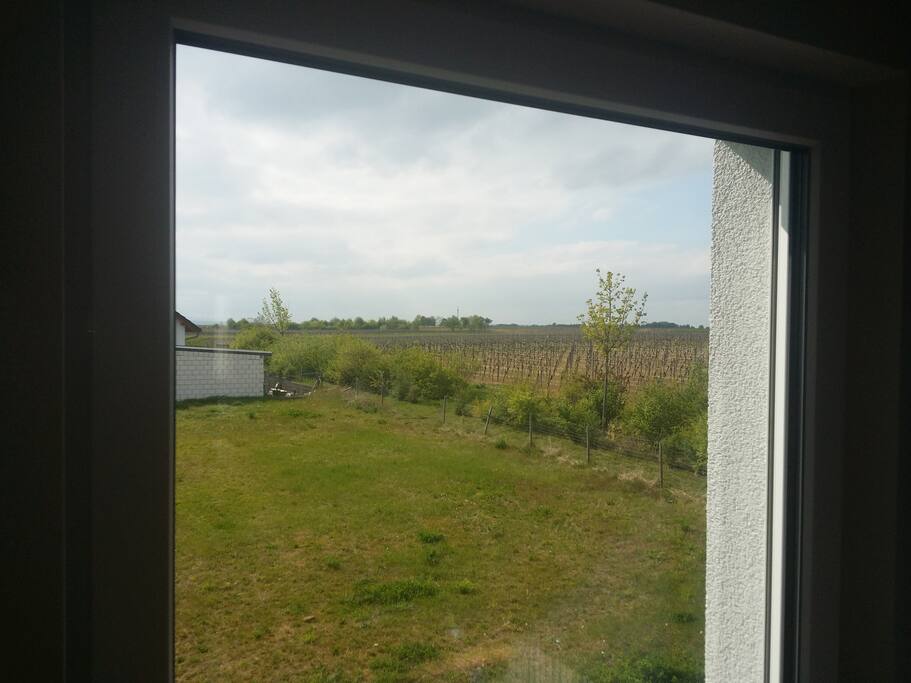 Blick auf den Donnersberg