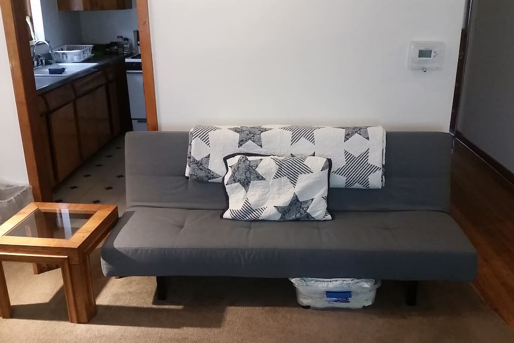 Futon in Living Room - Sleeps 1