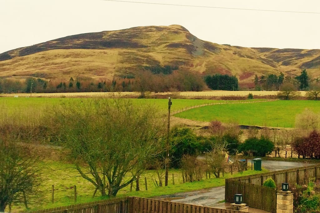Craig Rossie View