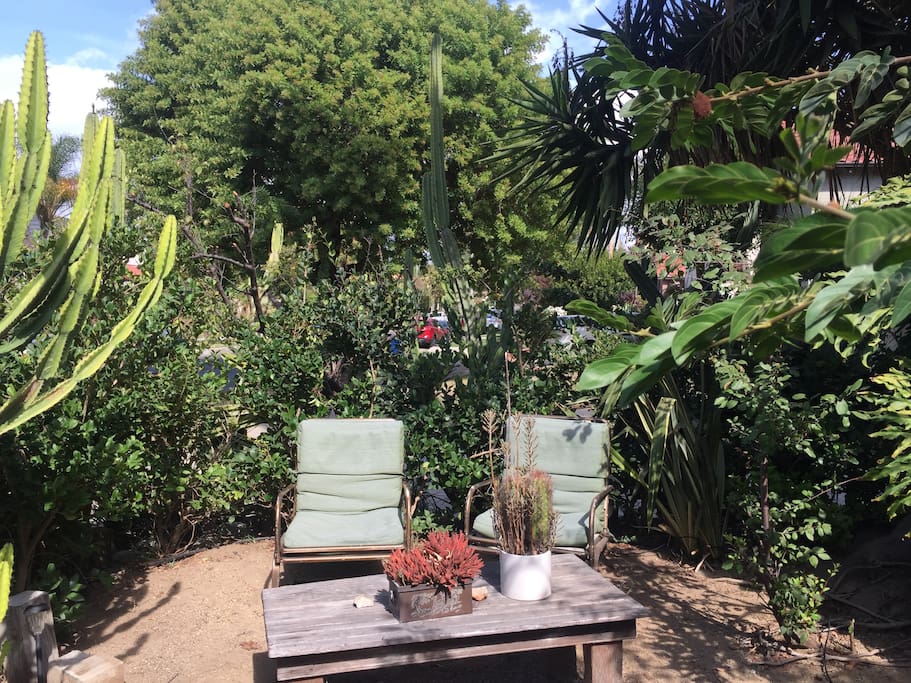 Seating area to north opposite the outdoor dining table and chairs