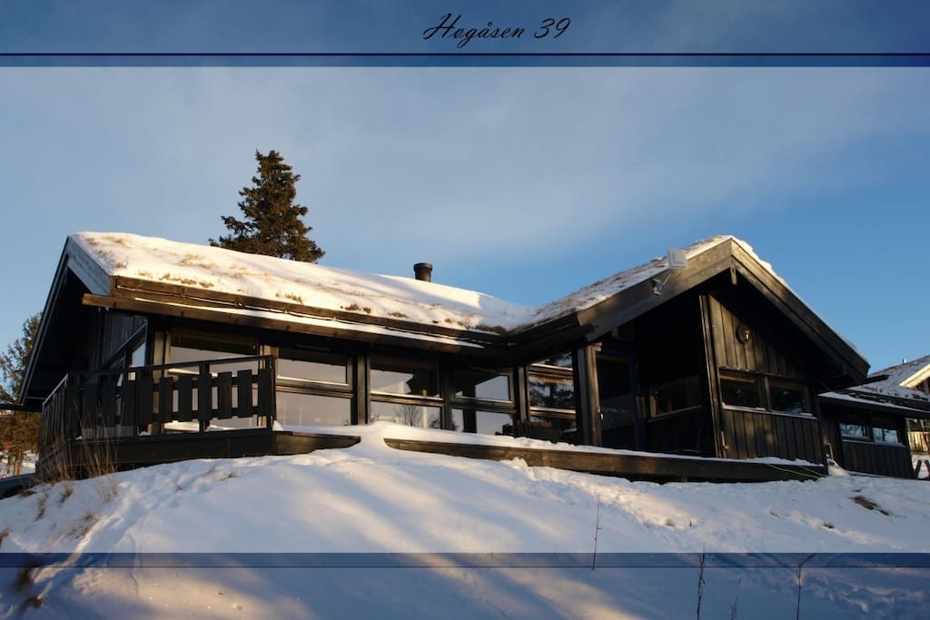 The cabin in winter
