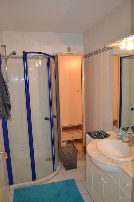Salle de Bain privative. Douche lavabo et armoire