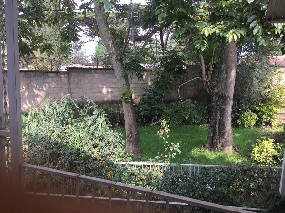 garden