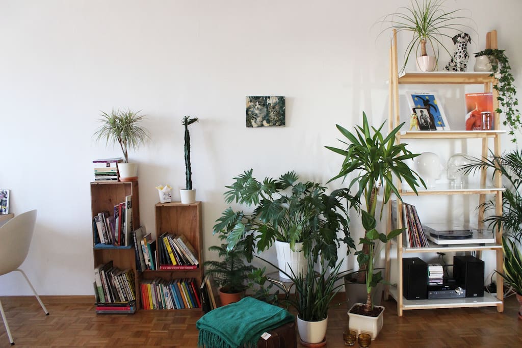 Green Living Room