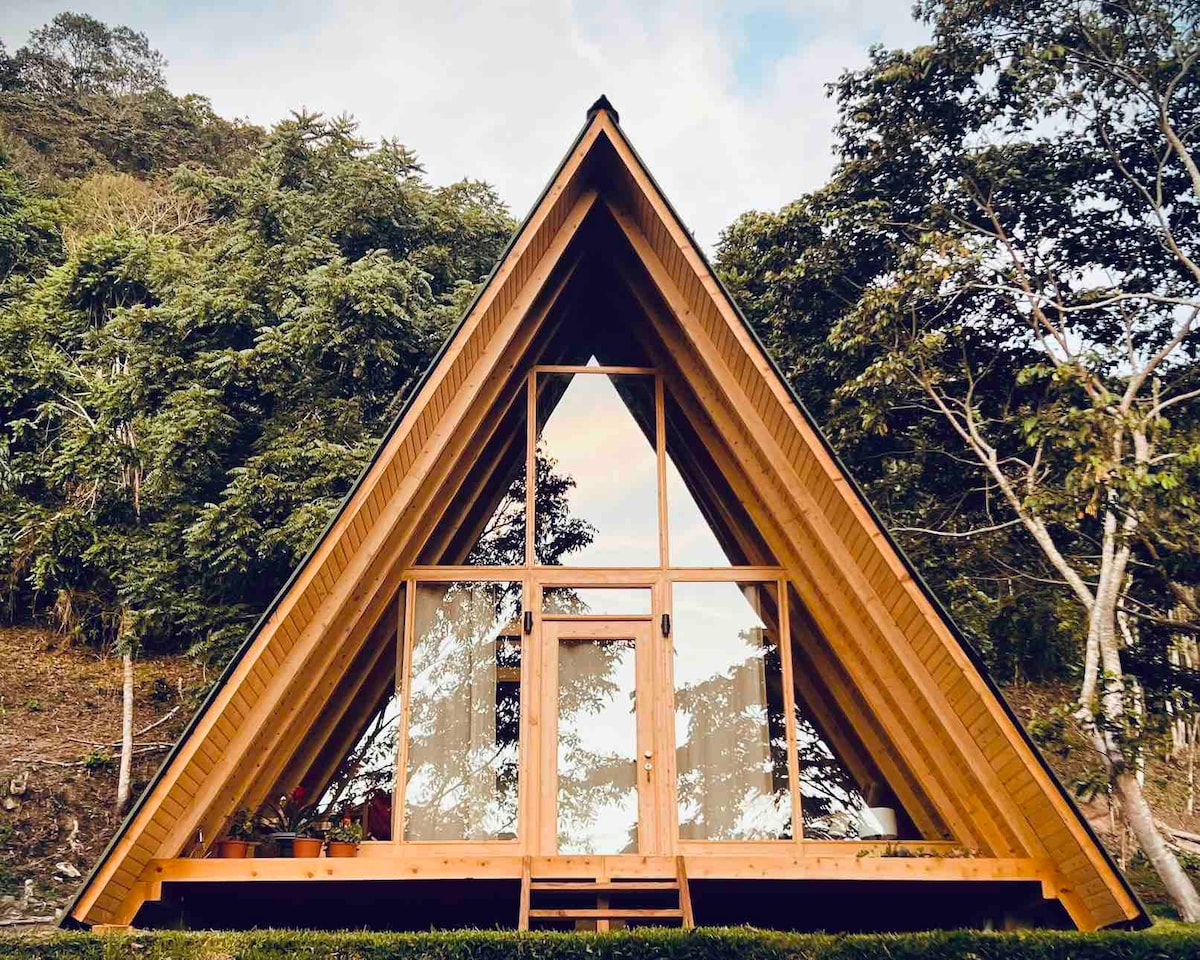 The cabin features a striking A-frame structure with large glass windows reflecting the surrounding trees. The wooden exterior blends harmoniously with the natural landscape, creating a serene entrance. Lush greenery frames the cabin, enhancing its connection to the forest environment.