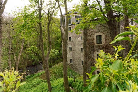 Luxury Stay at Eyemouth Mill